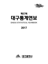 2017 대구통계연보